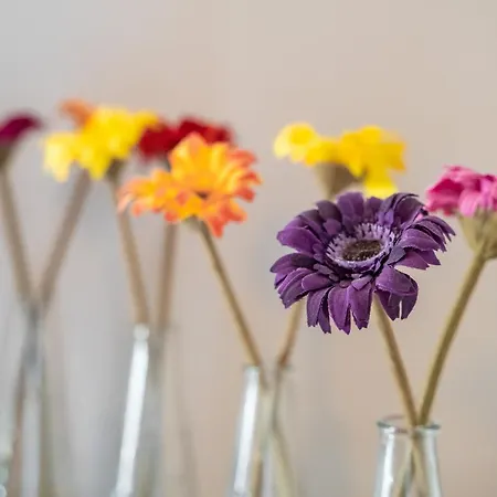 Fuentes De La Hoz * Aguaton