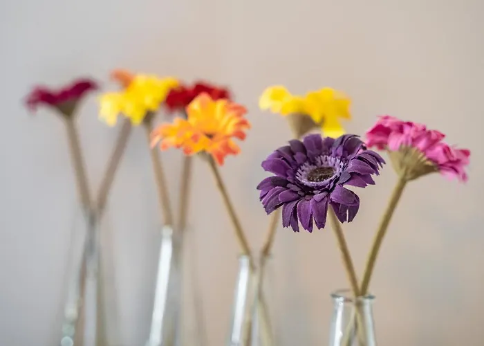 Fuentes De La Hoz * Aguaton